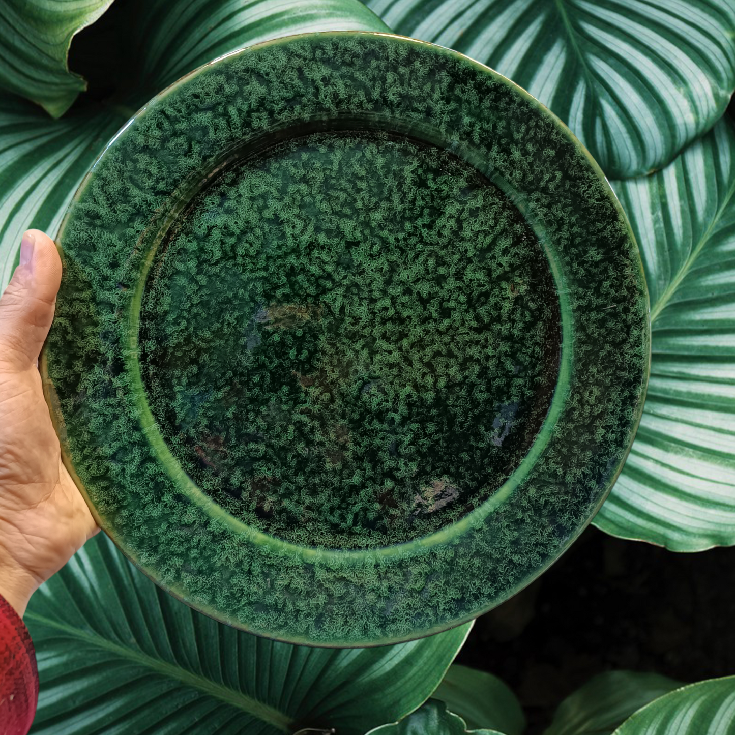 Green Pottery Serving Plate Set, Set of 6 Serving Plates for Dinner or Lunch (6 Plates )