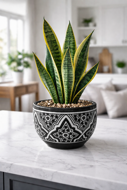 Handcrafted Moroccan Ceramic Planter – Decorative Fez Pottery Flower Pot with Geometric Design