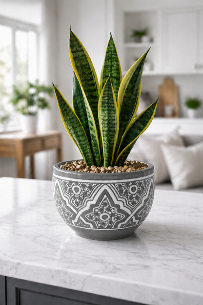 Handcrafted Moroccan Ceramic Planter – Decorative Fez Pottery Flower Pot with Geometric Design