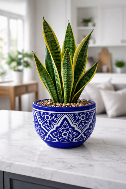 Handcrafted Moroccan Ceramic Planter – Decorative Fez Pottery Flower Pot with Geometric Design